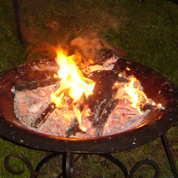 ~ The Firepit ~