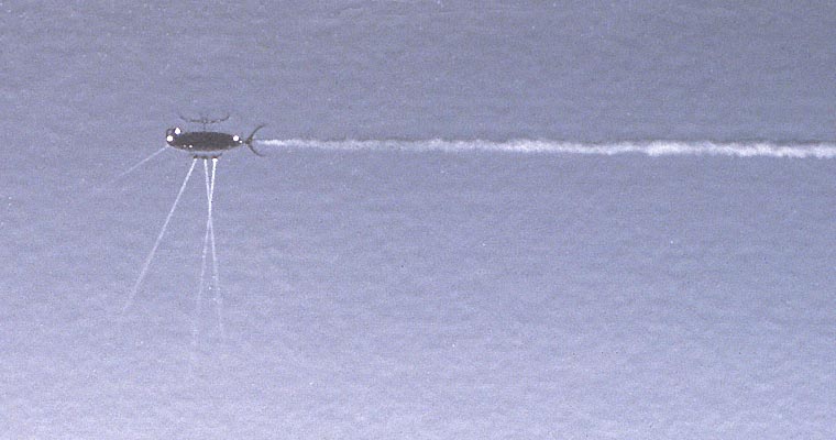 Detail of UFO and vapor trail
