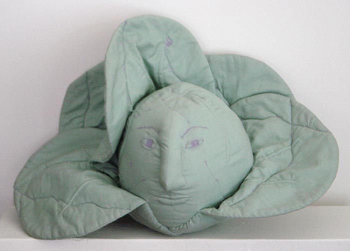Head of Cabbage