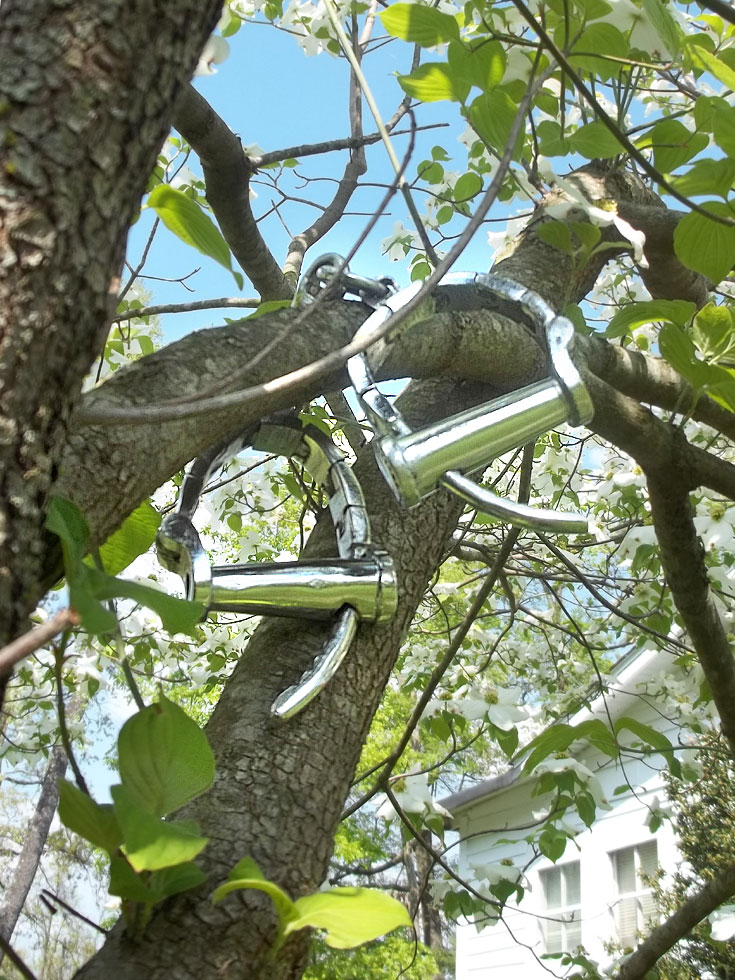 Ties that Bind