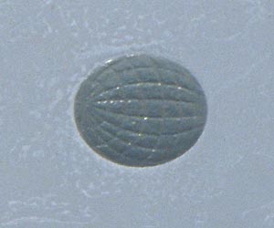 Detail of UFO
