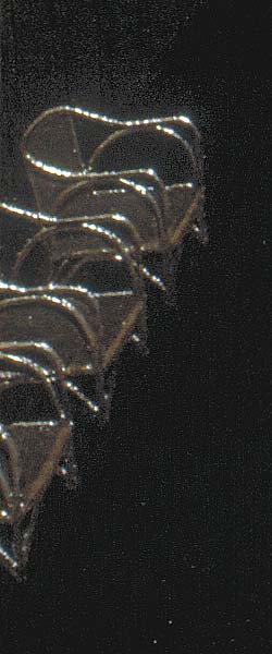 Detail of the swimming pool of the Titanic, showing the wicker chairs fore of the pool
