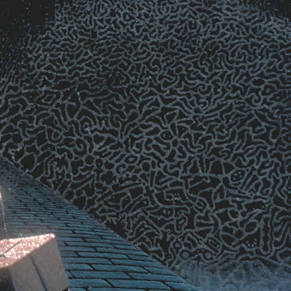 Detail of mountain pattern